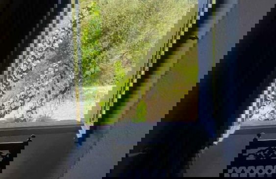 Moulin de l'Ostriconi - Foto 22