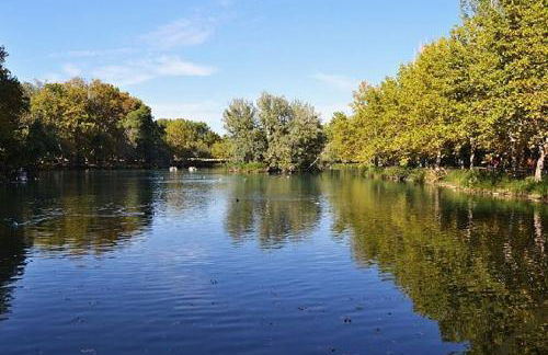 El Surtidor - Foto 22