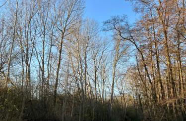 Ferienwohnung Ostseefeuer - Foto 72