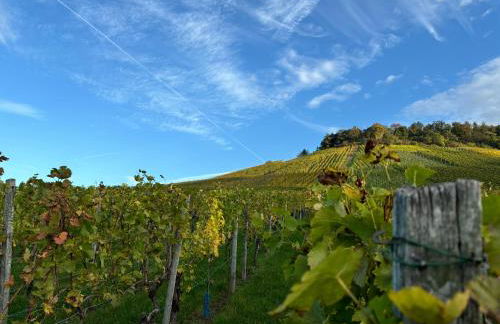 Großzügige Ferienwohnung im Remstal - Foto 43