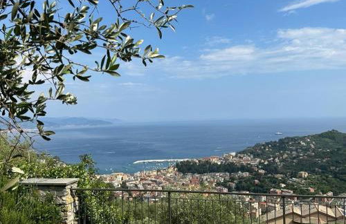 House of Charme - Foto 11