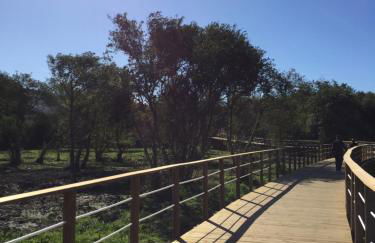 Beach and Mountain Paradise - Foto 25