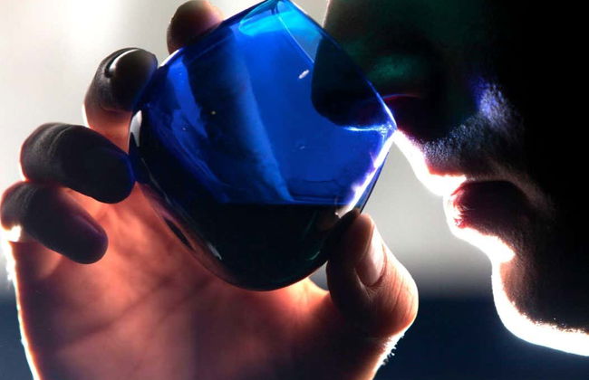 Tour del aceite por Montoro - Foto 1