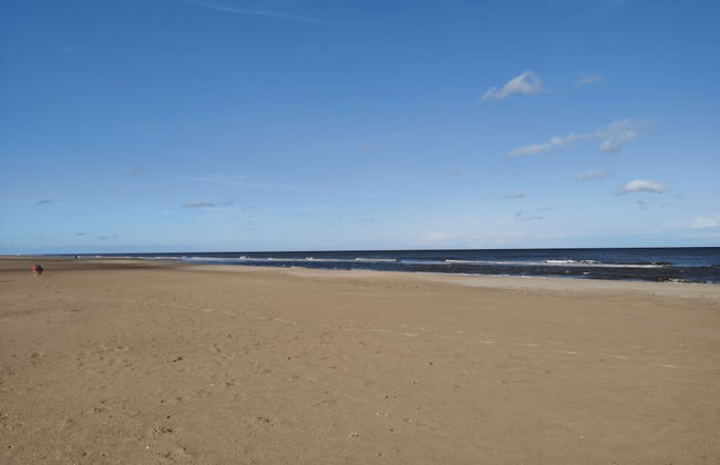 Sea Activities Golden Sands Beach Relax - Foto 36