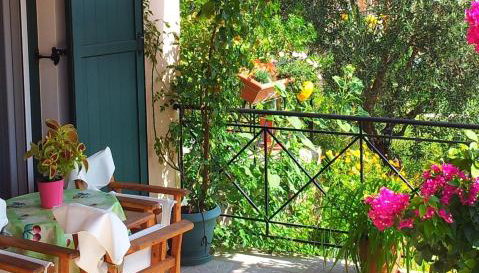 Ktima Apostolou - Foto 5