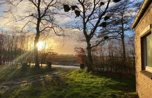 Ferien im Brookmerland - Foto 18