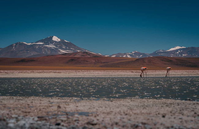 Escursione alla Laguna Brava - Foto 6