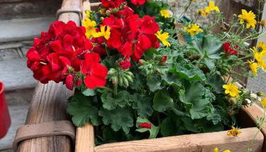 La Tzambretta - Foto 2