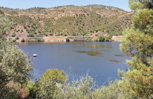 Chão da Velha - Casas de Campo - Foto 34