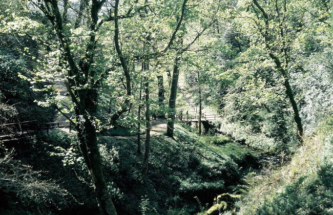Charming Yurt in Kelburn Estate Near Largs - Foto 4