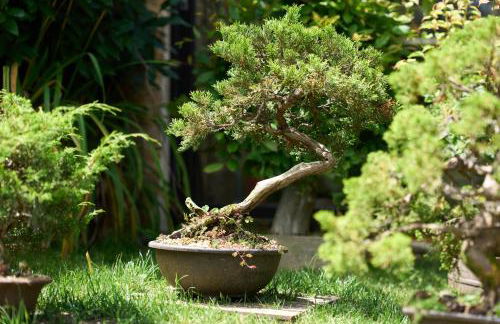 La charmante - Foto 58