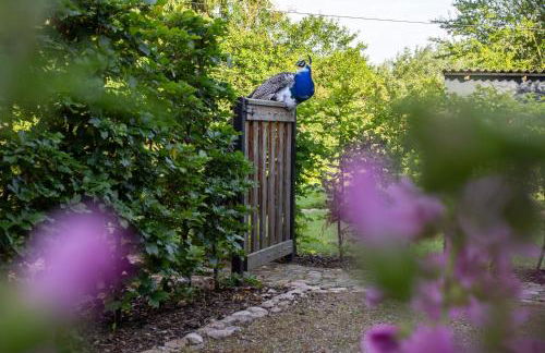 Ruhiger Rückzugsort mit Kamin & Garten, für Paare - Foto 11