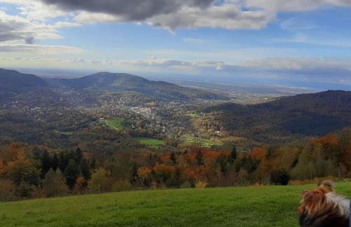 Ferienwohnung Baden Baden Rastatt Elsass - Foto 13