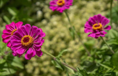 CORTIJO EL PRADO l - Foto 31