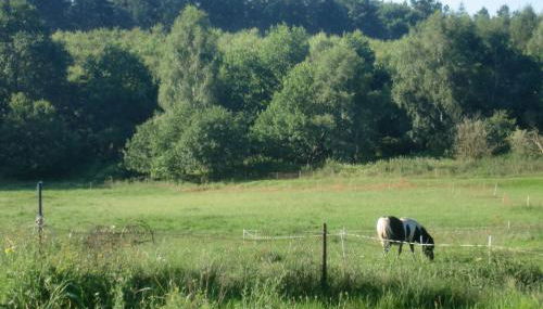 Ferienwohnung Reinecke Brigitte Re - Photo 4, Garden