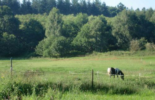 Ferienwohnung Reinecke Brigitte Re - Foto 4