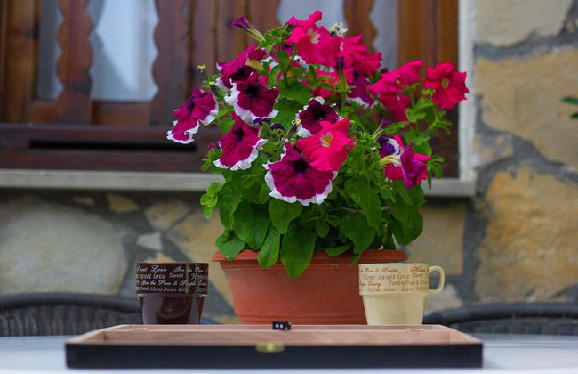 Omodos Village Houses - Foto 30