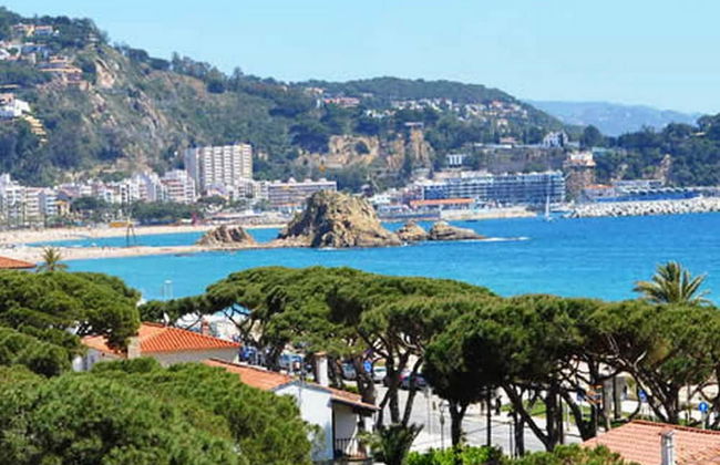 AP Costas - Villa de Madrid - Photo 23