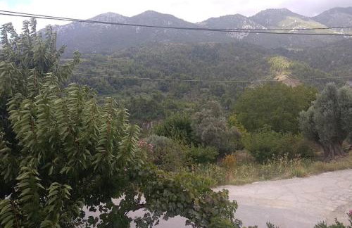 Green Garden appartment with mountain view, Vitala - Foto 2