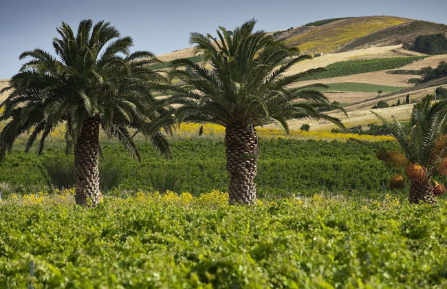 Holiday Home in Buseto Near San Vito Lo Capo - Foto 22