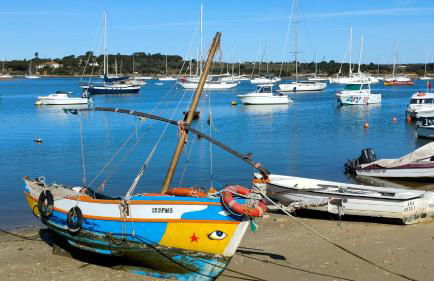 EstrelasDourada ALVOR Limoeiro - Foto 71