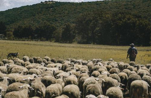 Agriturismo Le Case di Quarantotti - Foto 28