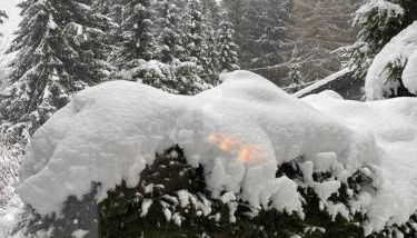 Schönwald Waldchalet am Musenberg - Foto 5