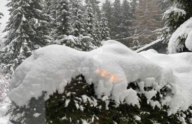 Schönwald Waldchalet am Musenberg - Foto 5