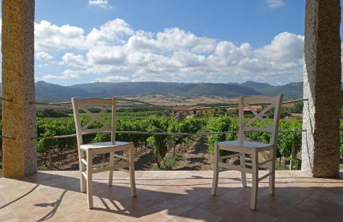 Agriturismo Campesi casale tra le vigne - Photo 19