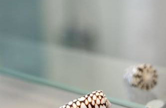 Rodamos apartment - Foto 42