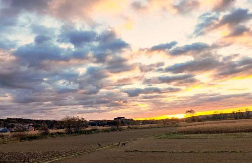 Domek Wuja Toma w Bachórzu - apartament - Foto 32