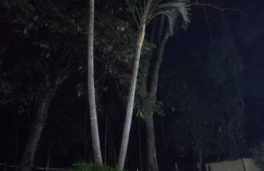 Exclusivo Haras Marilu! - Foto 15