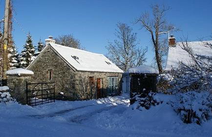 The Barn at Pink Cottage - Photo 8