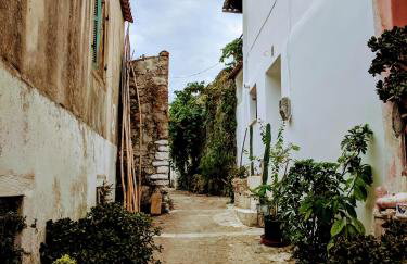 Traditional village house - Foto 18