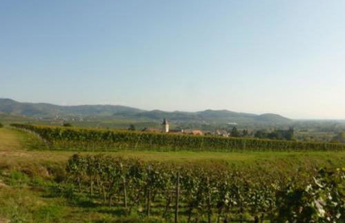 Bianca's Kaiserstuhl - Foto 17