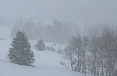 New for 2025 Chalet Homestake View - Foto 41