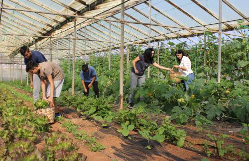 Orgon Farm Village Houses - Foto 27