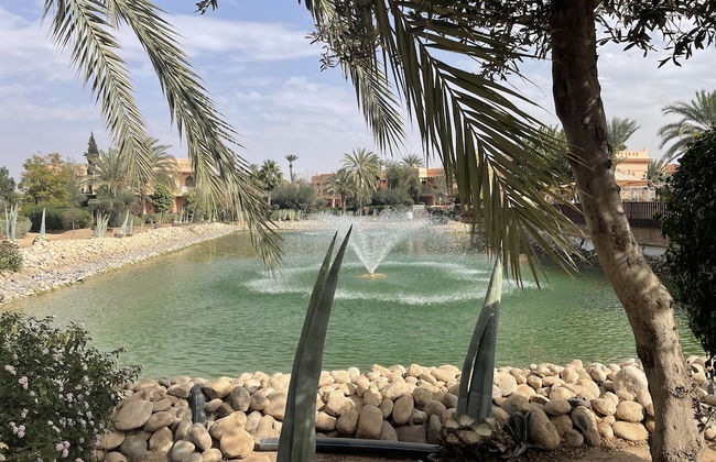 Au Coeur De La Palmeraie De Marrakech - Photo 67