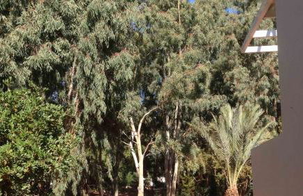 Ktima Grammeno Beachside Villa - Photo 75