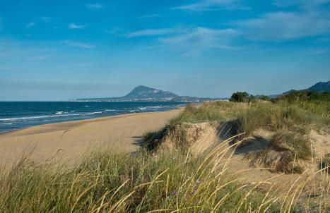 Apartamentos Las Dunas - Photo 41