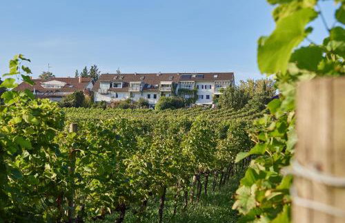 Ferienwohnungen Weingut Deufel - Foto 26