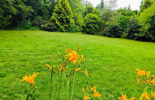 Domek Zofiówka dostęp na kod - Foto 22