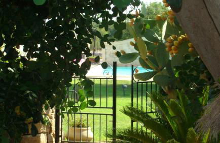 Agriturismo Masseria Cianciò - Foto 87