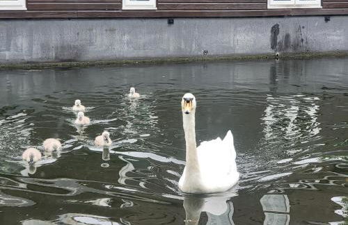 Lovely Canal Boat in Little Venice for Family & Friends - Photo 17