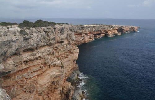 Apartaments S'Estanyol - Foto 62