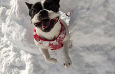 Naturnah in Hellenthal - Photo 27