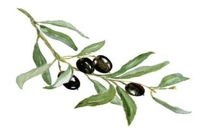 "Casa Oliveiras" studio avec terrasse et piscine - Foto 3