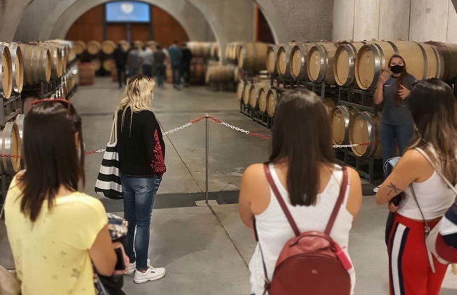 Visite à la découverte des domaines viticoles de Neuquén - Photo 6