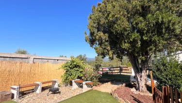 MirakostaCB - Foto 3