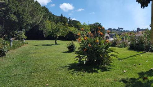 Agriturismo Rebua - Foto 5, Garden, Garden view